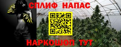 дживик Долгопрудный